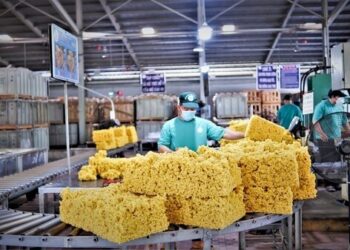 Cao su Việt Nam Edu Trade