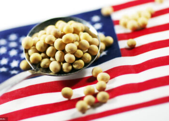 Cục Dịch vụ Nông nghiệp Nước ngoài (FAS) thuộc Bộ Nông nghiệp Hoa Kỳ đã phân bổ 14 triệu đô la theo Chương trình Xúc tiến Thương mại “Nước Mỹ trên hết” (AFTPP) mới để hỗ trợ một sáng kiến ​​thúc đẩy xuất khẩu đậu nành của Hoa Kỳ. Chương trình này nhằm mục đích mở rộng nhu cầu toàn cầu đối với đậu nành của Hoa Kỳ và củng cố vị thế của các nhà sản xuất Mỹ trên thị trường quốc tế. Nguồn kinh phí này sẽ hỗ trợ một sáng kiến ​​chung của Hiệp hội Đậu nành Hoa Kỳ (ASA) và Hội đồng Xuất khẩu Đậu nành Hoa Kỳ (USSEC) / sáng kiến ​​WISHH. Dự án được thiết kế để cung cấp cho người mua quốc tế các công cụ, dữ liệu và hỗ trợ kỹ thuật nhằm tăng cường sử dụng đậu nành có nguồn gốc từ Hoa Kỳ trên thị trường của họ. Các đại diện ngành cho rằng nguồn vốn này đến đúng lúc khi các cơ hội thương mại mới cho nông nghiệp Mỹ đang xuất hiện. USSEC lưu ý rằng chương trình này sẽ giúp chuyển đổi động lực thị trường thành doanh thu xuất khẩu thực tế, trong khi ASA nhấn mạnh tầm quan trọng của việc duy trì khả năng tiếp cận thị trường lâu dài cho nông dân. Các hoạt động chính bao gồm hợp tác với các nhà chế biến, nhà máy sản xuất thức ăn chăn nuôi và các công ty thực phẩm, cũng như hỗ trợ phát triển công nghệ chế biến tại các vùng thiếu protein. Sáng kiến ​​này cũng thúc đẩy các ứng dụng thực phẩm từ đậu nành và phát triển chuỗi cung ứng bền vững. Ngoài ra, chương trình tập trung vào việc tăng cường khả năng cạnh tranh của đậu nành Mỹ và nhấn mạnh các tiêu chí bền vững về môi trường. Chương trình này bổ sung cho các công cụ xuất khẩu khác của USDA, bao gồm Chương trình Tiếp cận Thị trường và Chương trình Phát triển Thị trường Nước ngoài. Các hiệp hội cho biết nguồn tài trợ này sẽ giúp mở rộng quy mô các hoạt động hiện có tại các thị trường đang phát triển và mới nổi, đồng thời khởi động các quan hệ đối tác mới nhằm tăng cường sử dụng đậu nành Mỹ trên toàn cầu.