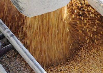 Ngũ cốc, Hàng hóa phái sinh, edutrade