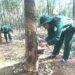 Khủng hoảng eo biển Hormuz gây cú sốc nguồn cung phân bón toàn cầu, thị trường nông sản đối mặt nhiều rủi ro