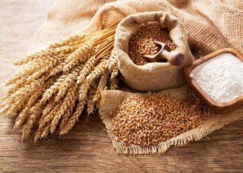 Mỹ giảm mạnh nhập khẩu thép cán, thị trường thép toàn cầu đối mặt áp lực mới