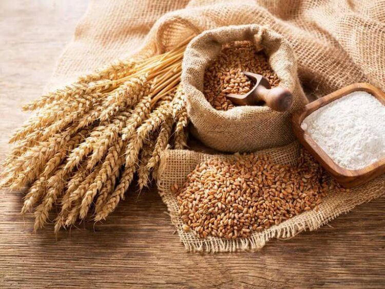 Mỹ giảm mạnh nhập khẩu thép cán, thị trường thép toàn cầu đối mặt áp lực mới