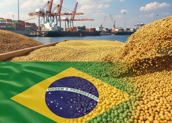 Brazil tiếp tục củng cố vị thế là nhà xuất khẩu đậu nành lớn nhất thế giới: nhu cầu mạnh mẽ từ bên ngoài, chủ yếu từ Trung Quốc, đã thúc đẩy lượng hàng xuất khẩu kỷ lục vào đầu năm.