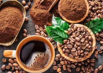 Trung Quốc tăng cường dự trữ dầu mỏ bất chấp nhập khẩu giảm mạnh.