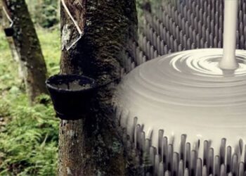 Giá cao su tự nhiên đang chạm mức cao nhất trong 9 năm qua do nhu cầu gia tăng khi người tiêu dùng giảm bớt sử dụng cao su tổng hợp có nguồn gốc từ dầu mỏ trong bối cảnh căng thẳng Mỹ - Iran leo thang.
