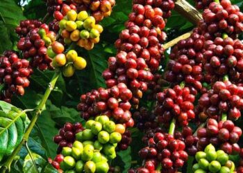 Giá nhiên liệu toàn cầu tăng mạnh vì cú sốc dầu mỏ, dầu WTI vượt 100 USD/thùng