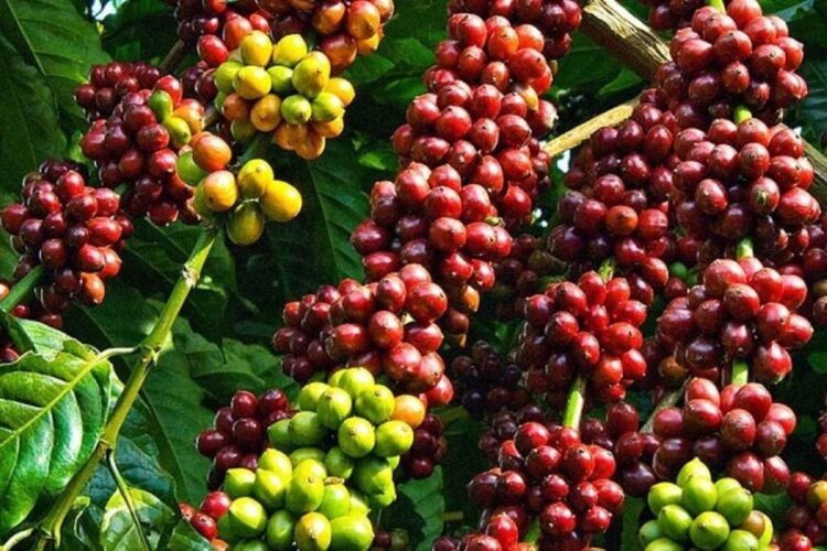 Giá nhiên liệu toàn cầu tăng mạnh vì cú sốc dầu mỏ, dầu WTI vượt 100 USD/thùng