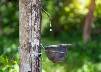 Trung Quốc tăng cường dự trữ dầu mỏ bất chấp nhập khẩu giảm mạnh.