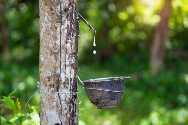 Trung Quốc tăng cường dự trữ dầu mỏ bất chấp nhập khẩu giảm mạnh.