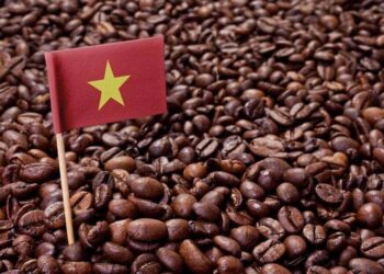 Việt Nam tiếp tục là nhà nhập khẩu gạo lớn thứ 2 thế giới