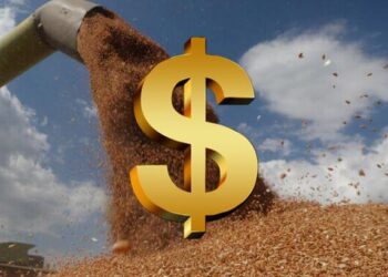 lúa mì, giá lúa mì CBOT, USDA, ngô, đậu tương, nông sản, hàng hóa phái sinh, dầu Brent, dầu WTI, Edu Trade