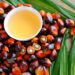Theo các nhà phân tích tại Oil World (Đức), nhu cầu trong nước ngày càng tăng đối với nhiên liệu sinh học, các hạn chế xuất khẩu và dự báo năng suất hàng năm trên mỗi hecta sẽ làm giảm khả năng cạnh tranh của dầu cọ trên thị trường toàn cầu. Điều này cũng sẽ được giảm thiểu hơn nữa nhờ việc nối lại nguồn cung dầu đậu nành từ Argentina và nguồn cung dầu hướng dương từ Argentina, Nga, Bulgaria và Ukraine.