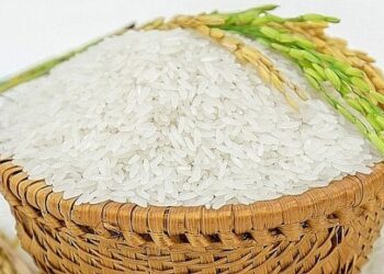 Giá cao su xuất khẩu của Việt Nam lập đỉnh mới, đà tăng sẽ tiếp tục duy trì?