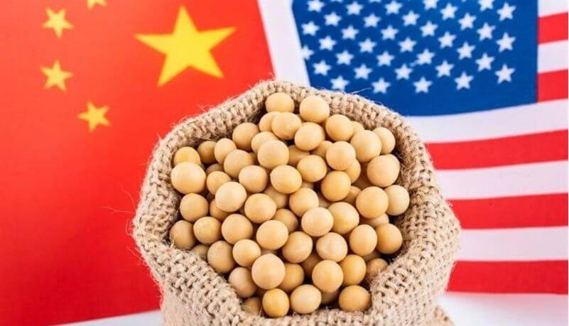 Theo số liệu từ Oil World (Đức), tổng lượng xuất khẩu đậu nành từ Mỹ và Brazil sang Trung Quốc trong giai đoạn tháng 1 đến tháng 4 năm 2026 đã tăng 3,5 triệu tấn (+10%) so với cùng kỳ năm ngoái, đạt mức kỷ lục 37 triệu tấn, vượt xa mức trung bình của cùng kỳ trong 5 năm qua (32,9 triệu tấn).

Sau các thỏa thuận mua bán đạt được vào cuối năm 2025, Trung Quốc đã tăng thị phần nhập khẩu đậu nành từ Mỹ lên 55%, so với 41% trong giai đoạn tháng 1-4 năm 2025. Đồng thời, thị phần đậu nành Brazil trong nhập khẩu của Trung Quốc giảm từ 74% xuống còn 69%.

Cụ thể, xuất khẩu đậu nành của Mỹ tăng lên 3,05 triệu tấn trong tháng 4 (2,18 triệu tấn trong tháng 4 năm 2025), trong đó 1,56 triệu tấn (0,54 triệu tấn) được vận chuyển đến Trung Quốc. Kể từ đầu niên vụ 2025/26, Hoa Kỳ đã xuất khẩu 34,04 triệu tấn đậu nành, so với 44,08 triệu tấn trong giai đoạn tháng 9 đến tháng 4 năm 2024/25, trong đó 10,78 triệu tấn (22,49 triệu tấn) được xuất sang Trung Quốc.