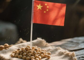 đậu tương, giá đậu tương, nhập khẩu đậu tương Trung Quốc, khô đậu tương, dầu đậu tương, nông sản thế giới, thị trường đậu tương, xuất khẩu đậu tương Brazil, đậu tương Mỹ, giao dịch đậu tương, hàng hóa phái sinh, Edu Trade, giá nông sản, thức ăn chăn nuôi, dầu thực vật.