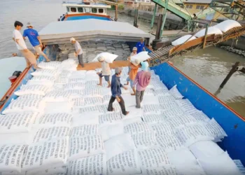 gạo Việt Nam, xuất khẩu gạo, Philippines nhập khẩu gạo, giá gạo thế giới, thị trường gạo, gạo chất lượng cao, nông sản, giao dịch hàng hóa, lúa gạo Việt Nam, Edu Trade, đầu tư nông sản, giá gạo hôm nay, xuất khẩu nông sản, thị trường lương thực, gạo châu Á.