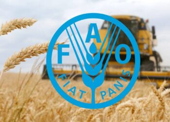 lúa mì, ngô, đậu tương, khô đậu tương, ngũ cốc thế giới, FAO, sản lượng ngũ cốc toàn cầu, giá lúa mì, giá ngô, thị trường nông sản, nông sản phái sinh, El Nino, xuất khẩu ngũ cốc, Edu Trade, hàng hóa phái sinh.