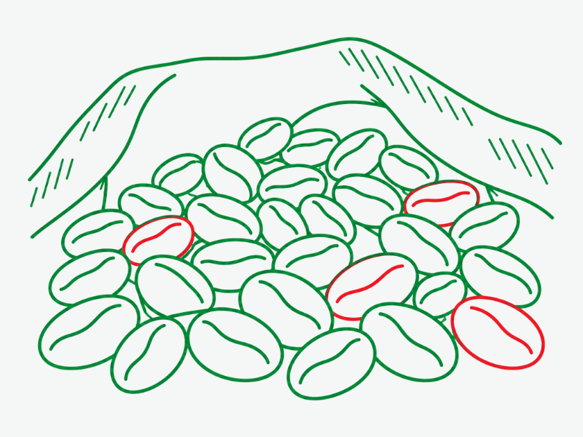 ngắn hạn robusta trading