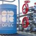 OPEC+ tiếp tục tăng hạn ngạch dầu giữa lúc nguồn cung toàn cầu bị gián đoạn