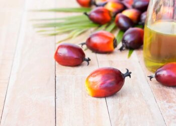 dầu cọ, giá dầu cọ, dầu thực vật, dầu đậu tương, đậu tương, khô đậu tương, biodiesel, Indonesia, Malaysia, thị trường nông sản, giao dịch hàng hóa phái sinh, Edu Trade, giá hàng hóa, nguyên liệu công nghiệp, dầu Brent, dầu WTI