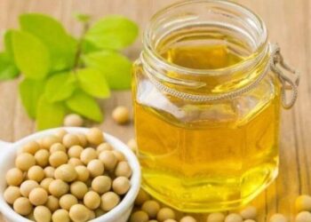 đậu tương, dầu đậu tương, khô đậu tương, xuất khẩu đậu tương Brazil, giá đậu tương, nông sản, giao dịch hàng hóa phái sinh, CBOT, dầu thực vật, biodiesel, Edu Trade, thị trường nông sản, Brazil, giá dầu đậu tương, đầu tư hàng hóa
