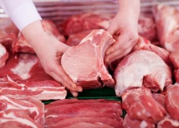 Giá heo hơi đồng loạt giảm tại ba miền, thị trường chăn nuôi đối mặt áp lực nguồn cung
