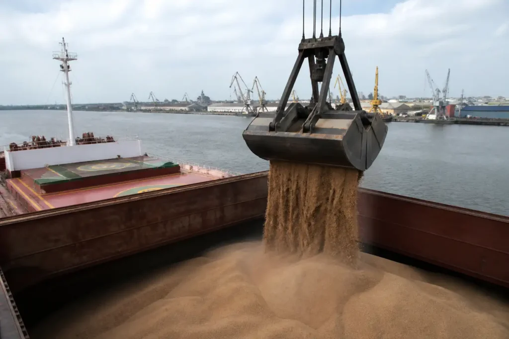 Illustration of EU nhập khẩu dầu cọ và đậu tương giảm mạnh đầu niên vụ 2026/27