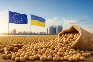 Đậu tương Ukraine và cơ hội mới phụ thuộc EU