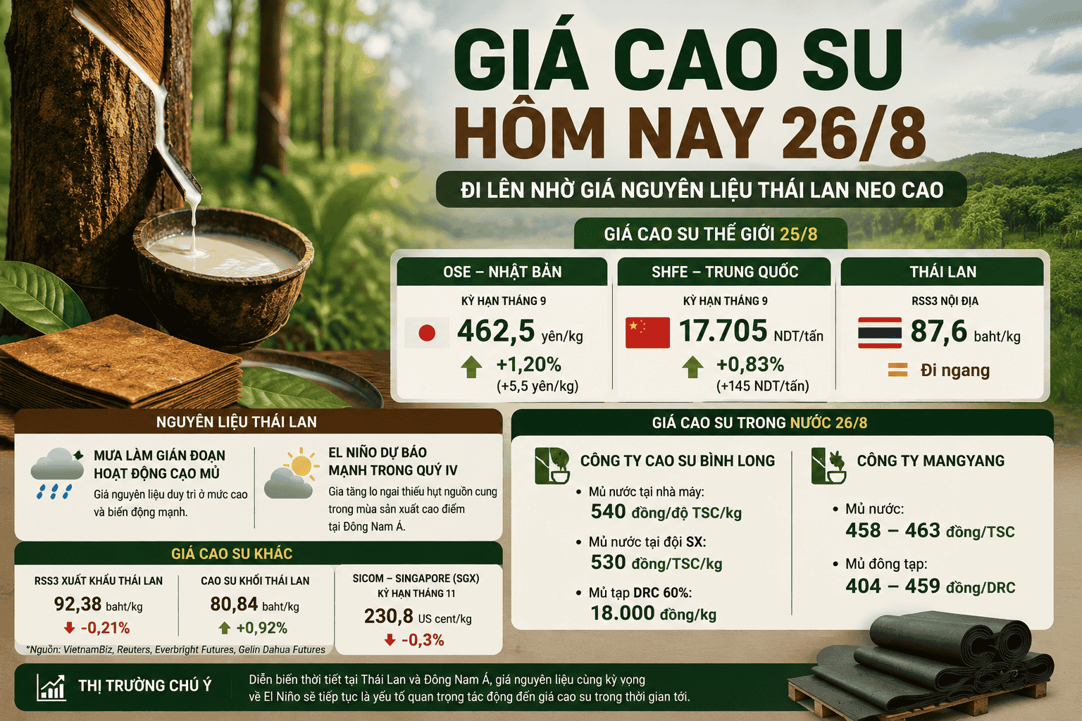 Gia-cao-su-hom-nay-26-8-Nhat-Ban-tang-1-2-gia-nguyen-lieu-Thai-Lan-neo-cao