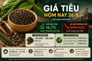 Giá tiêu hôm nay 26/8: Xuất khẩu tăng 16,7% nhưng giá bình quân giảm gần 5%