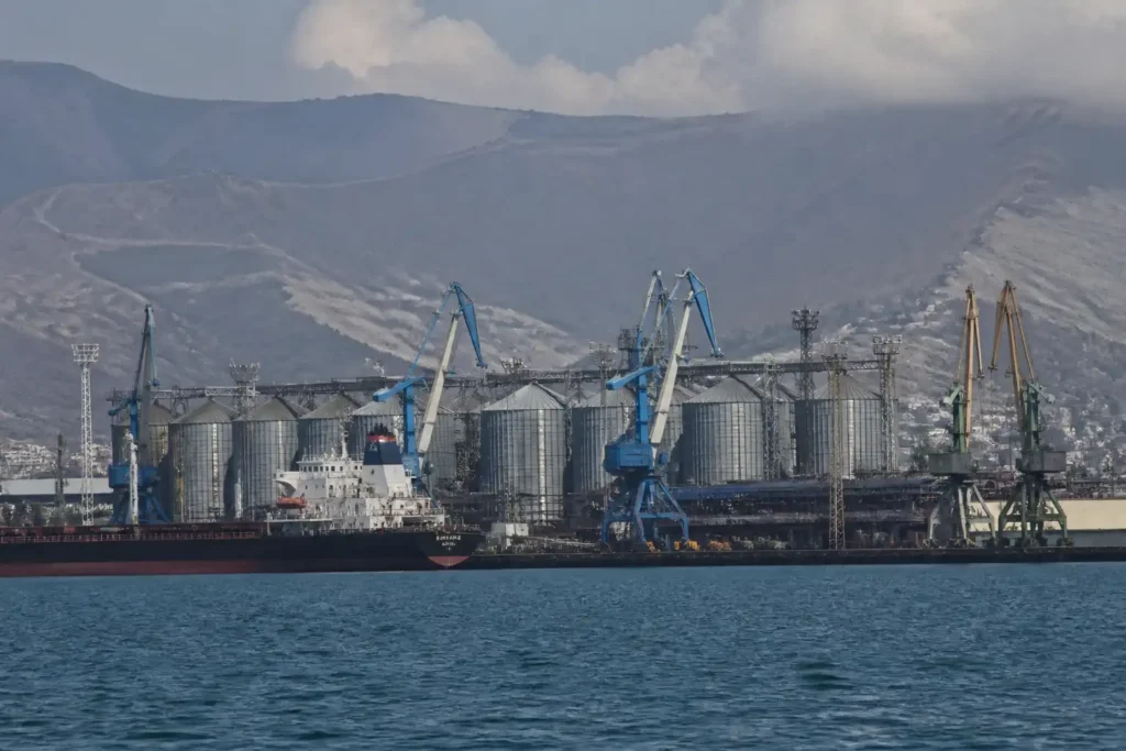Illustration of Ba cảng ngũ cốc ở Novorossiysk dừng hoạt động sau tấn công drone