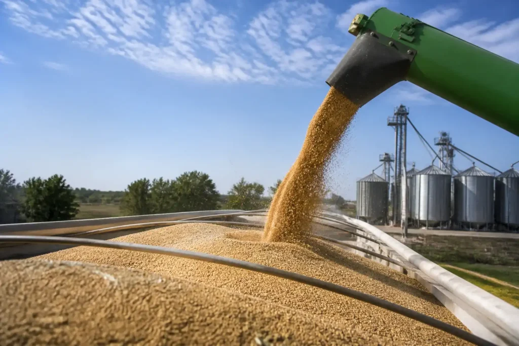 Additional Illustration of Chỉ số giá lương thực FAO gần như không đổi trong tháng 6