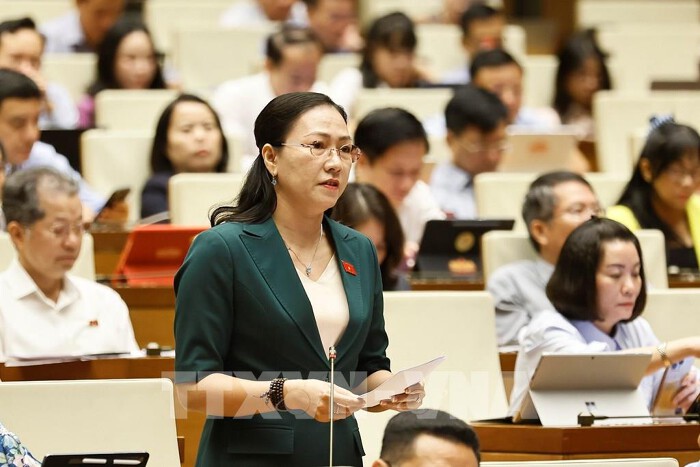Đại biểu Quốc hội tỉnh Vĩnh Long Nguyễn Thị Yến Nhi phát biểu. Ảnh: Doãn Tấn - TTXVNNguồn: Vietnambiz
