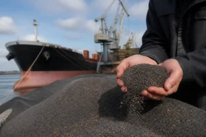 Giá cải dầu tăng do chậm trễ vận chuyển từ Ukraine và Nga