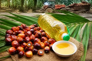 Giá dầu cọ Malaysia giảm sau 5 phiên tăng liên tiếp
