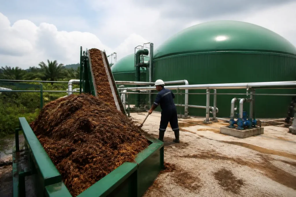 Additional Illustration of Indonesia đẩy mạnh chế biến chất thải dầu cọ thành biogas