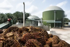 Indonesia tăng tốc sản xuất biogas từ chất thải dầu cọ