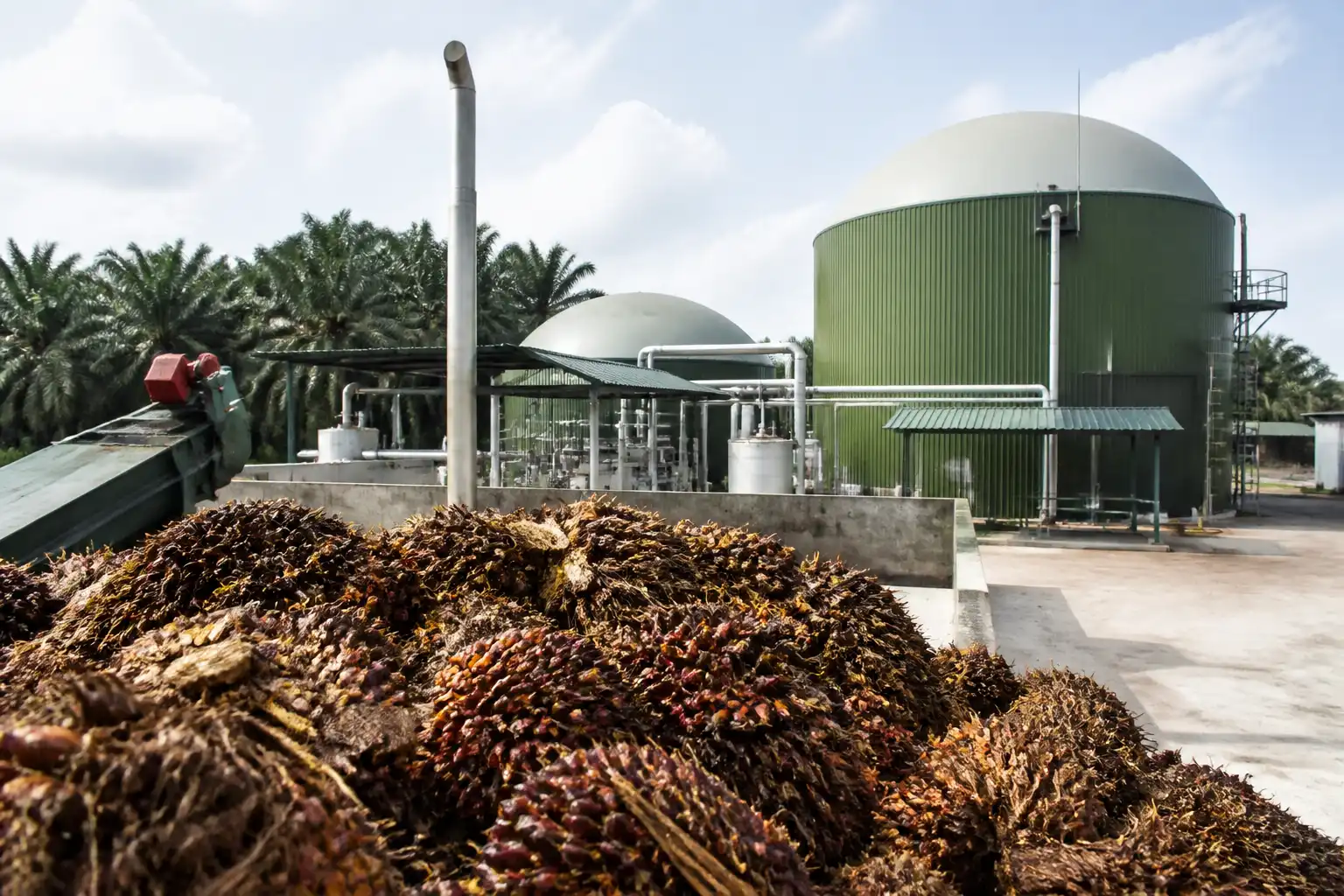 Illustration of Indonesia đẩy mạnh chế biến chất thải dầu cọ thành biogas