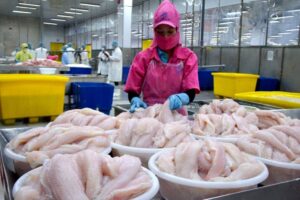 Mỹ chính thức tăng mạnh thuế hơn 440% đối với cá tra, basa Việt Nam