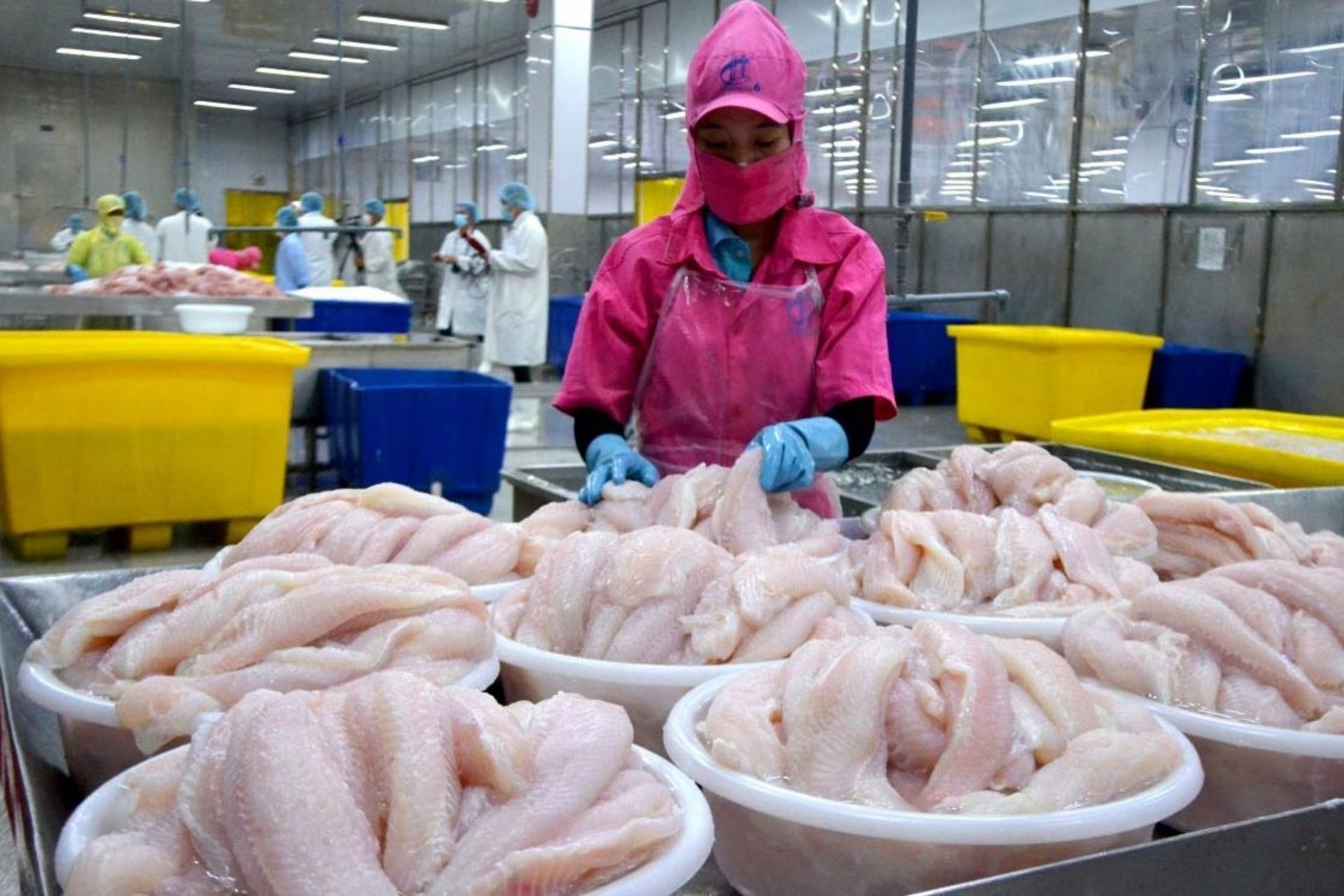 Mỹ tăng mạnh thuế chống bán phá giá cá tra và cá basa Việt Nam