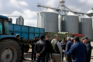 Ngũ cốc Ukraine được ưu tiên tới Constanta, nông dân Romania lo mất “cửa” xuất khẩu