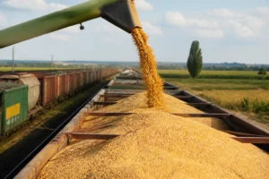 Romania phủ nhận ưu tiên đường sắt cho ngũ cốc Ukraine