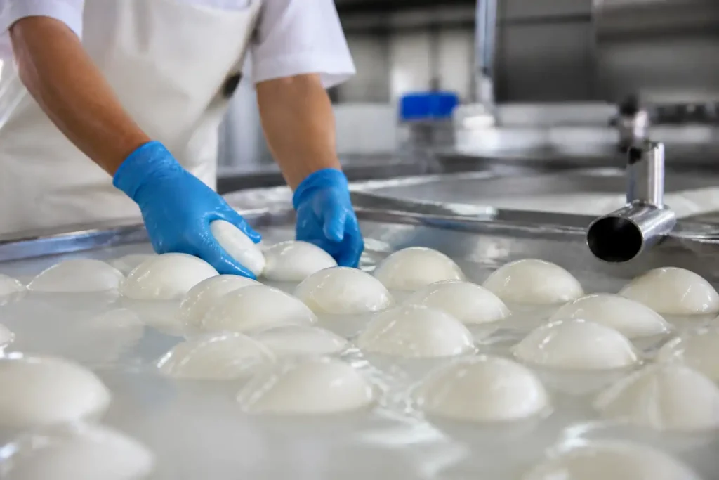 Additional Illustration of Thiếu hụt sữa tại châu Âu hỗ trợ giá mozzarella tăng