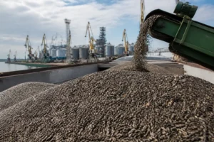 Ukraine 2026/27: Hạt dầu tăng, logistics thắt chặt