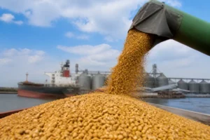 Ukraine áp dụng hệ số 0,714 cho giá xuất khẩu tối thiểu