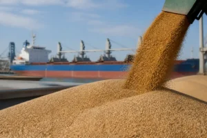 Ukraine đề xuất Saudi Arabia tăng mua ngũ cốc trực tiếp