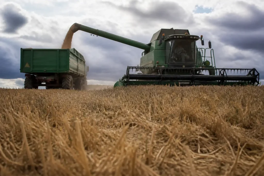 Additional Illustration of USDA dự báo sản lượng lúa mì của các nước xuất khẩu lớn giảm 11% năm 2026