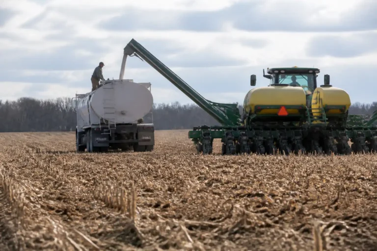 Illustration of USDA: Giá phân bón cao có thể đổi hướng gieo trồng Mỹ năm 2027