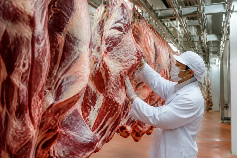 Illustration of Việt Nam nhập thịt trâu Ấn Độ giá 100.000 đồng/kg, bán 1 triệu đồng/kg