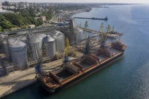Illustration of Xuất khẩu ngũ cốc qua cảng Biển Đen của Nga có thể gần tê liệt vì drone tấn công